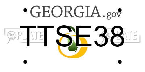 TTSE38 Georgia License Plate