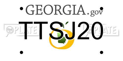 TTSJ20 Georgia License Plate