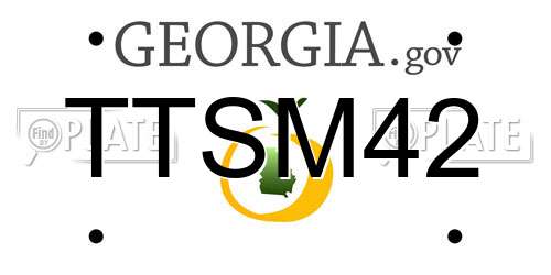 TTSM42 Georgia License Plate