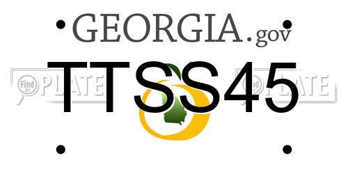 TTSS45 Georgia License Plate