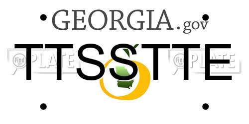 TTSSTTE Georgia License Plate