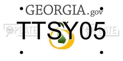 TTSY05 Georgia License Plate