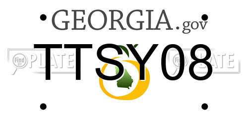 TTSY08 Georgia License Plate
