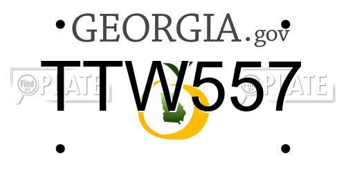TTW557 Georgia License Plate