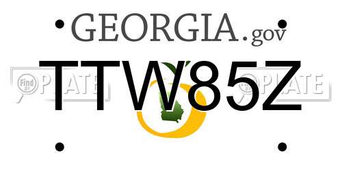 TTW85Z Georgia License Plate