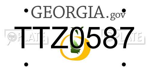 TTZ0587 Georgia License Plate