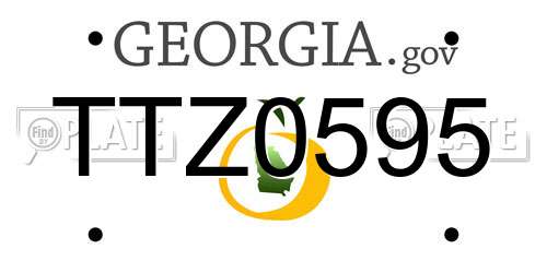 TTZ0595 Georgia License Plate