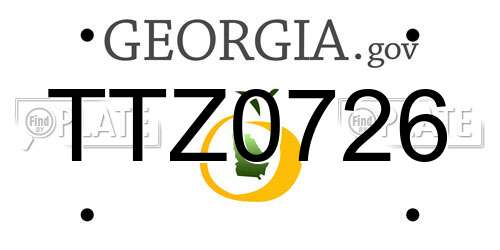 TTZ0726 Georgia License Plate