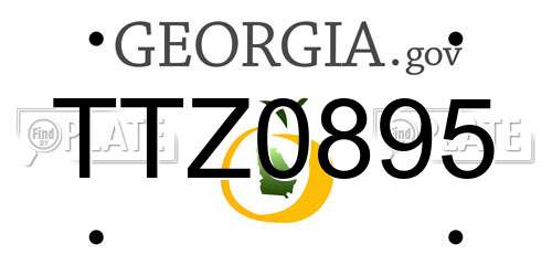 TTZ0895 Georgia License Plate
