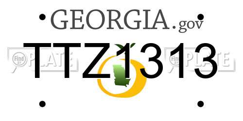 TTZ1313 Georgia License Plate
