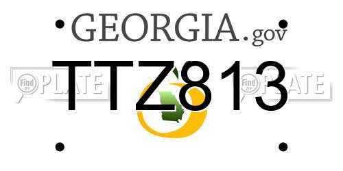 TTZ813 Georgia License Plate