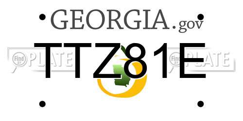 TTZ81E Georgia License Plate