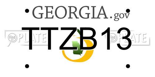 TTZB13 Georgia License Plate