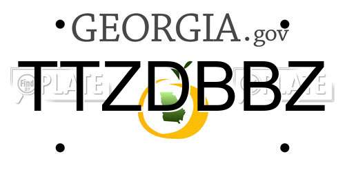 TTZDBBZ Georgia License Plate