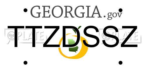 TTZDSSZ Georgia License Plate