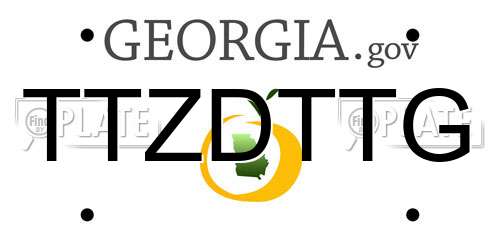 TTZDTTG Georgia License Plate