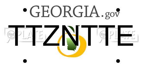 TTZNTTE Georgia License Plate