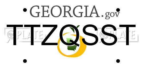 TTZQSST Georgia License Plate