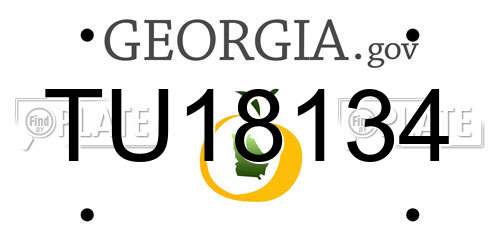 TU18134 Georgia License Plate