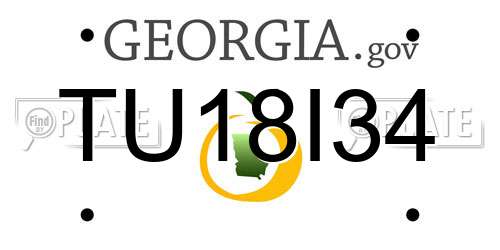 TU18I34 Georgia License Plate
