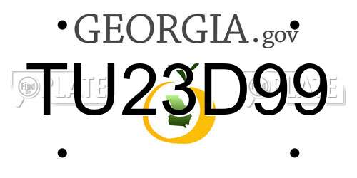 TU23D99 Georgia License Plate