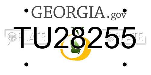 TU28255 Georgia License Plate
