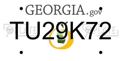 TU29K72 Georgia License Plate