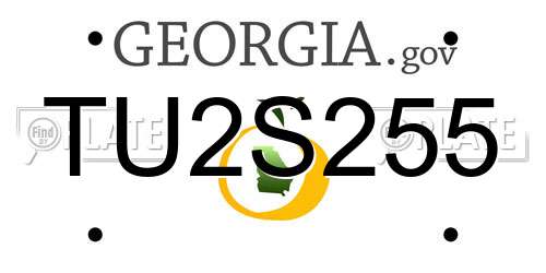 TU2S255 Georgia License Plate