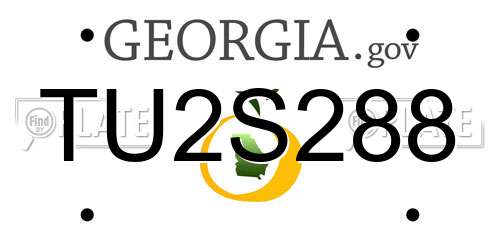 TU2S288 Georgia License Plate