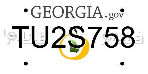 TU2S758 Georgia License Plate