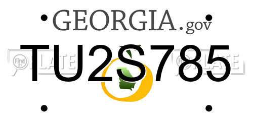 TU2S785 Georgia License Plate