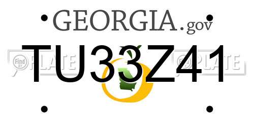 TU33Z41 Georgia License Plate