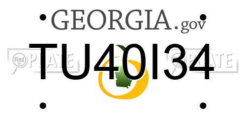 TU40I34 Georgia License Plate