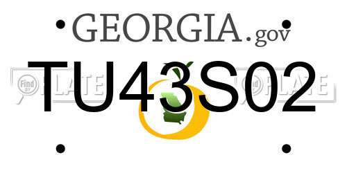 TU43S02 Georgia License Plate