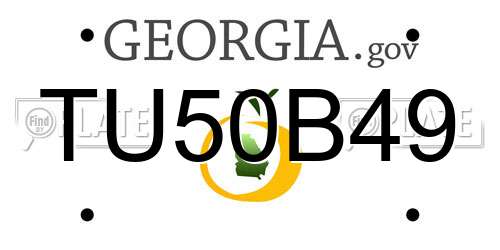 TU50B49 Georgia License Plate