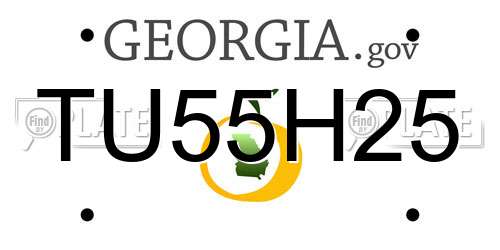 TU55H25 Georgia License Plate
