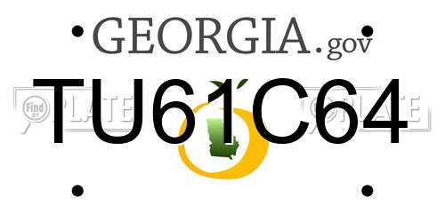TU61C64 Georgia License Plate