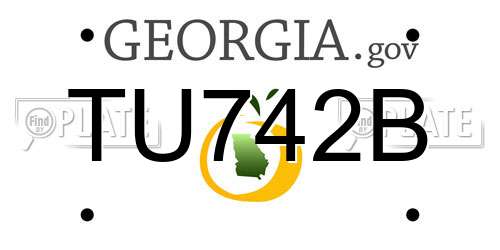 TU742B Georgia License Plate