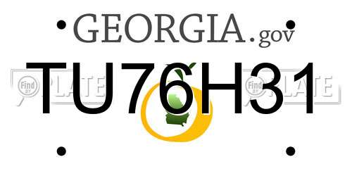 TU76H31 Georgia License Plate