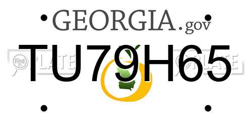 TU79H65 Georgia License Plate