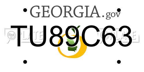 TU89C63 Georgia License Plate