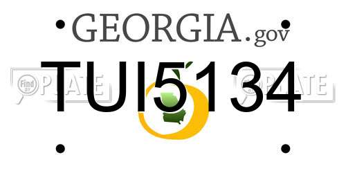 TUI5134 Georgia License Plate