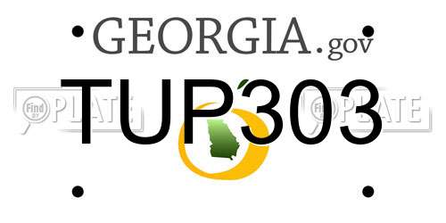 TUP303 Georgia License Plate