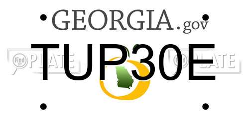 TUP30E Georgia License Plate
