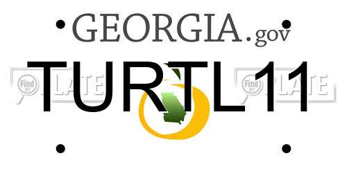 TURTL11 Georgia License Plate