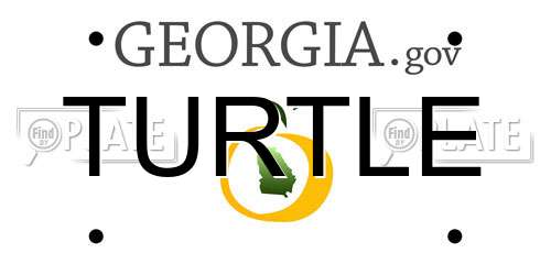 TURTLE Georgia License Plate