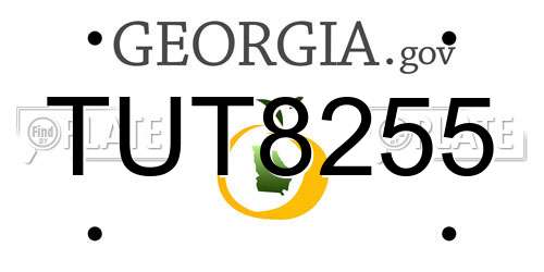 TUT8255 Georgia License Plate
