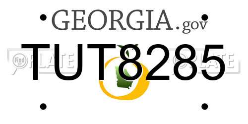 TUT8285 Georgia License Plate