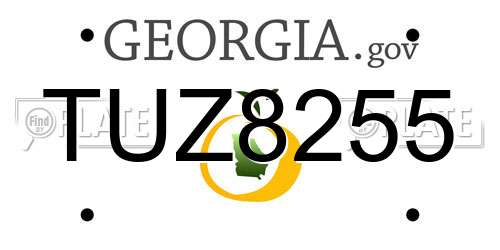 TUZ8255 Georgia License Plate
