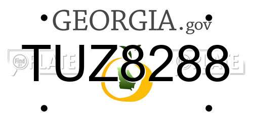 TUZ8288 Georgia License Plate